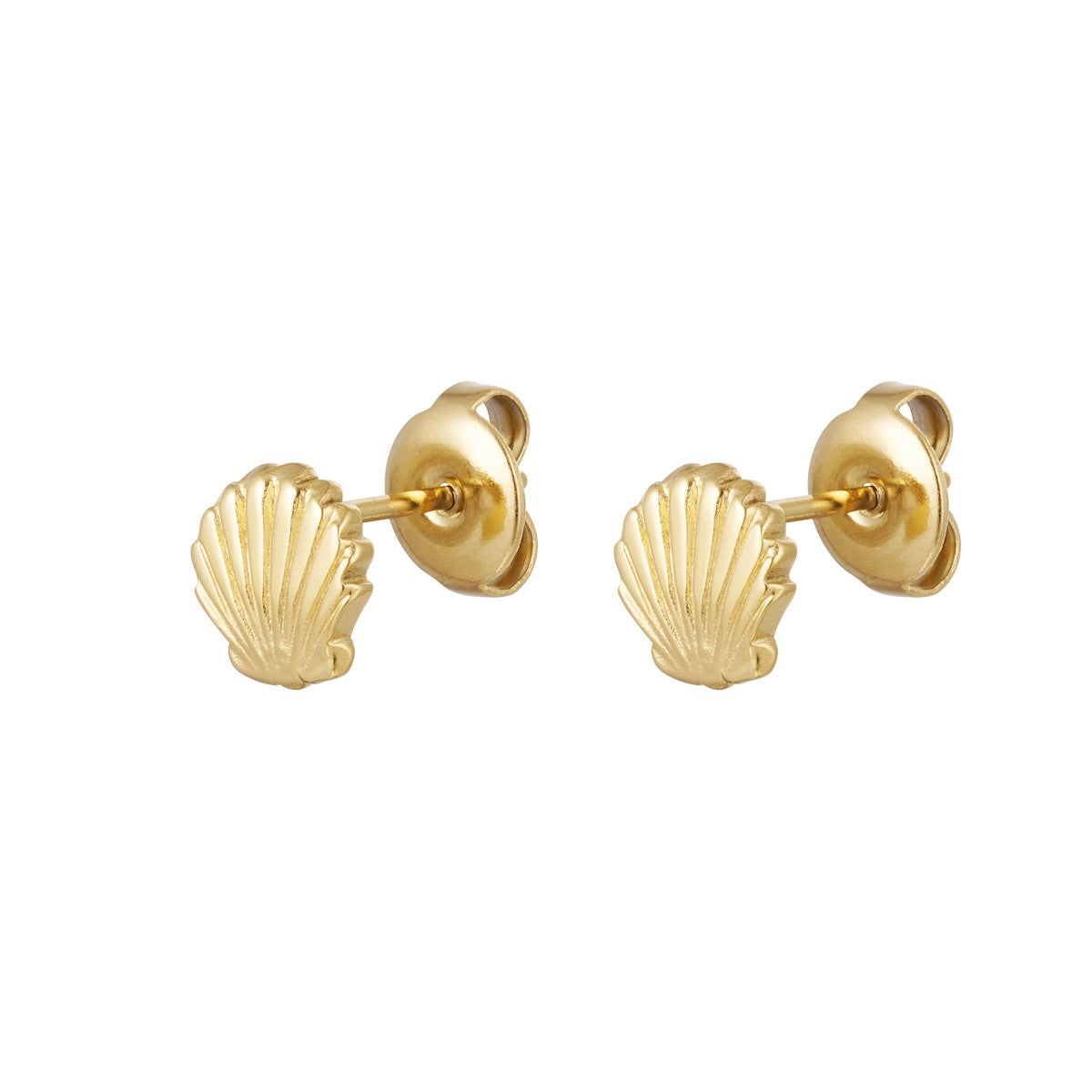 Kolczyki Ze Stali Chirurgicznej Mesini Premium SEA SHELL